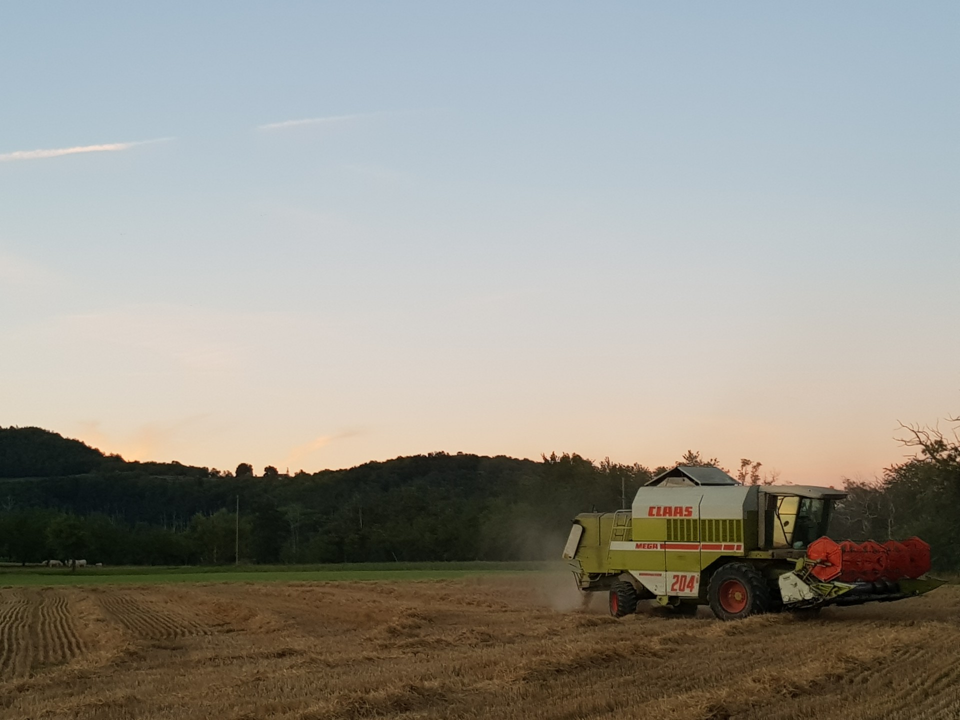 La moisson en soirée