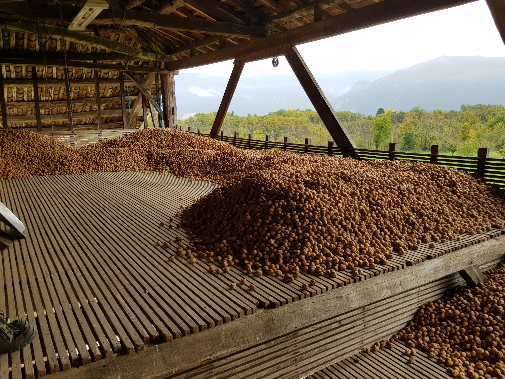 Stockage des noix sur les séchoirs