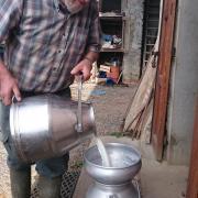 filtrage du lait