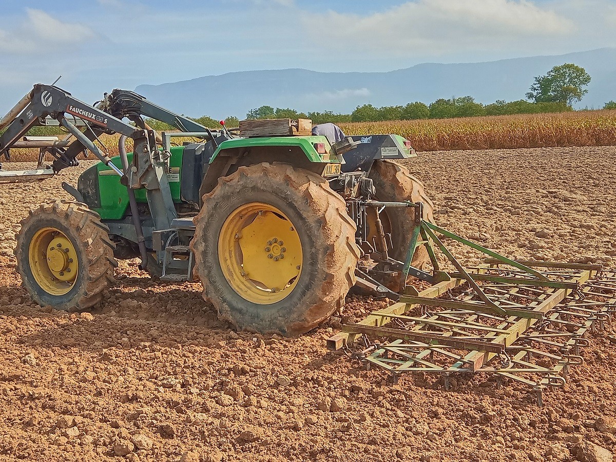 Préparation du terrain pour semis du blé