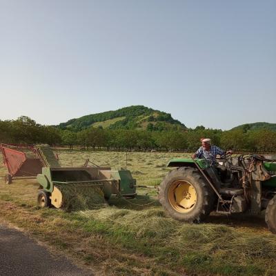 Pressage du foin