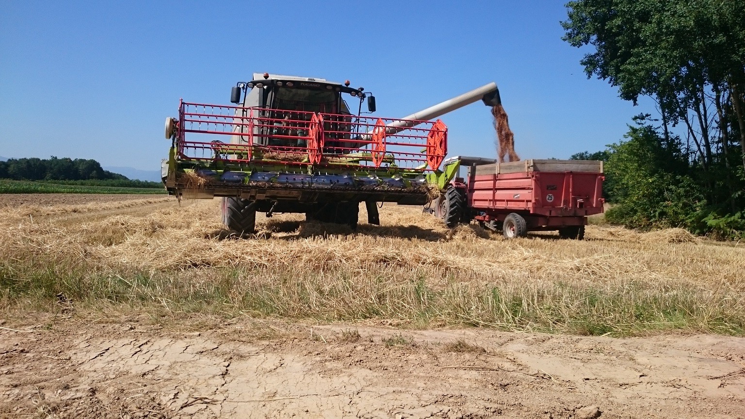 Moisson 3