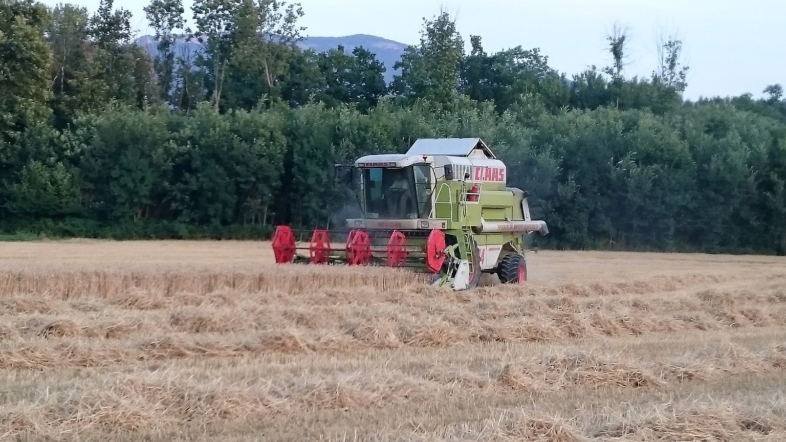 Moisson