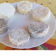 Plateau de fromage fermier