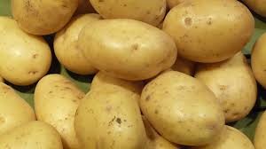 Pomme de terre